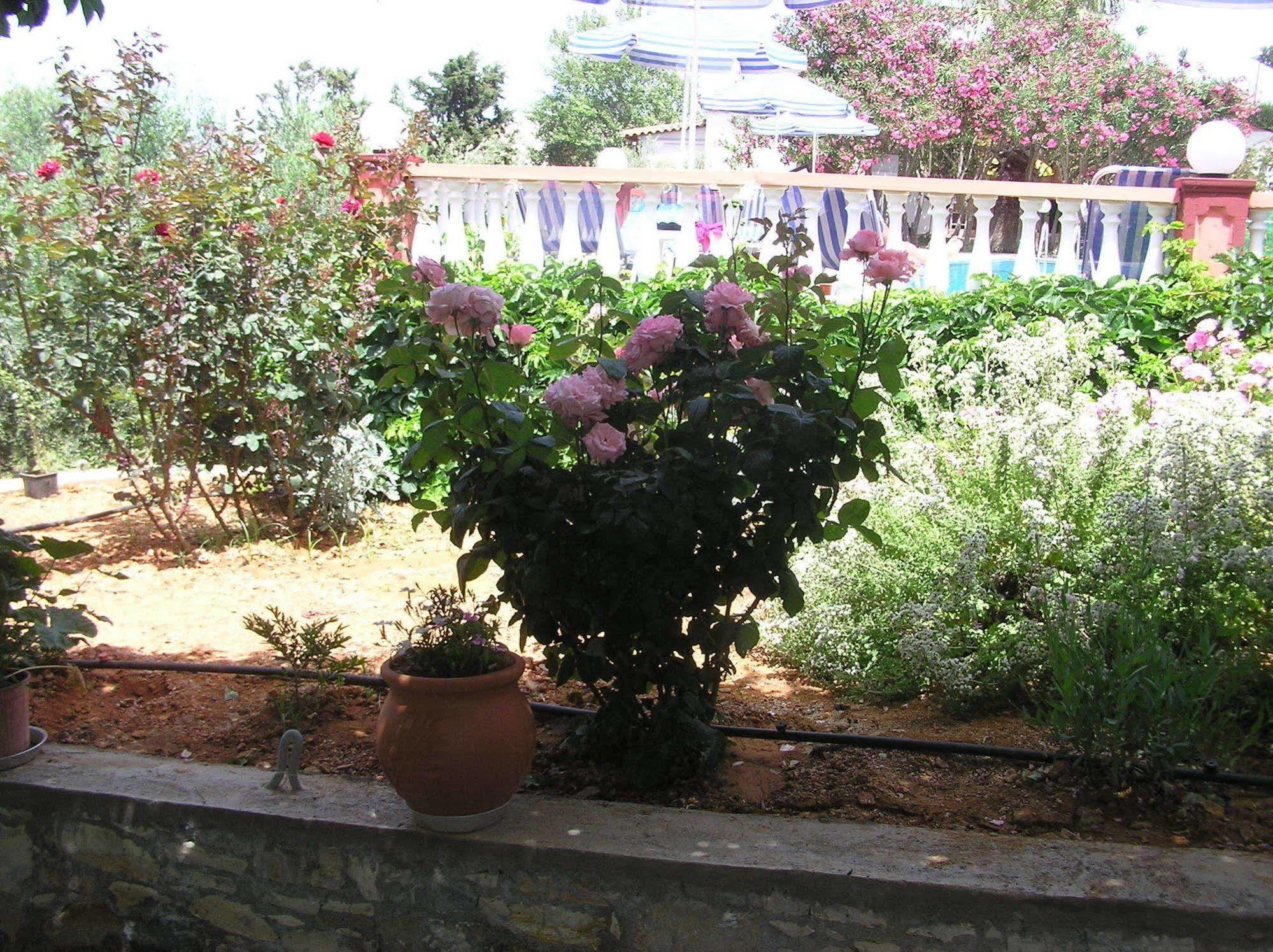 Knossos Aparthotel Panormos  Exterior photo